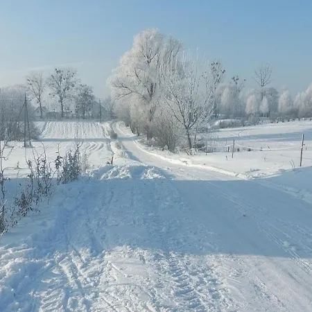 Pod Kogutem Apartament *