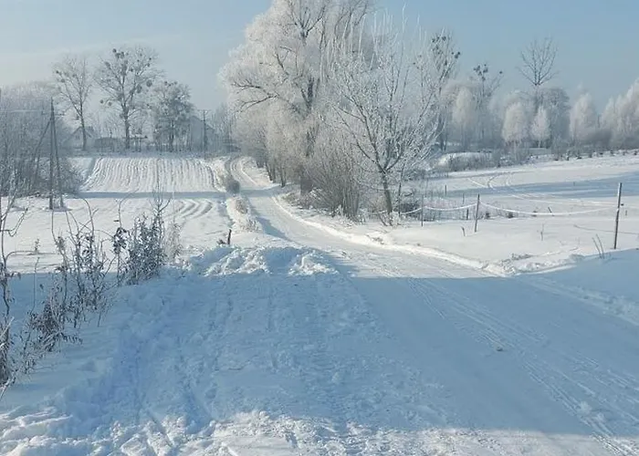 Pod Kogutem Apartament *